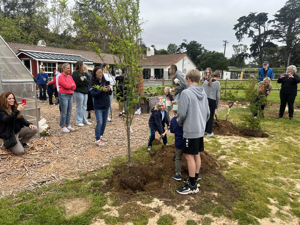 Tree planting