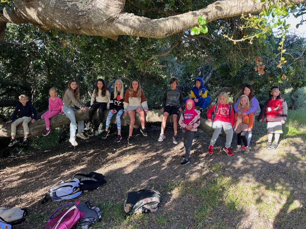 Waiting for the Walking School Bus